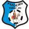 Pandurii Târgu logo
