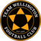 Team Wellington logo