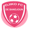 Djiko FC logo