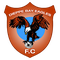 Dieppe Bay Eagles logo