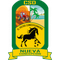 Nueva Concepción logo