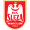 Sleza Wroclaw logo