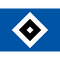 Hamburgo logo