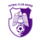 FC Arges logo