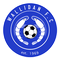 Wallidan logo