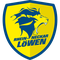 Rhein-Neckar Löwen logo