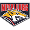 Metallurg Magnitogorsk logo