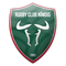 Nîmes logo