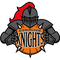 Birmingham Knights logo