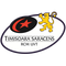 Timisoara Saracens logo