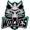 Wolves Vilnius logo