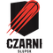 Icon Sea Czarni Slupsk logo
