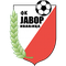 Javor-Matis logo