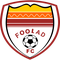 Foolad logo
