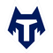 FC Tambov logo