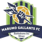 Marumo Gallants logo