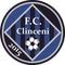 Academica Clinceni logo