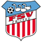 FSV Zwickau logo