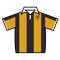 Hull City jersey
