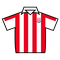 Stoke City jersey