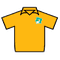 Ivoorkust jersey