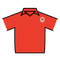 Cardiff City jersey