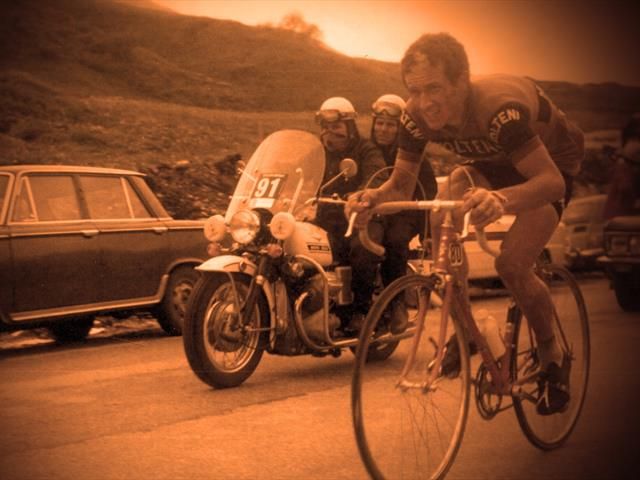 Maillot molteni new arrivals eddy merckx