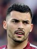 N. Radonjic