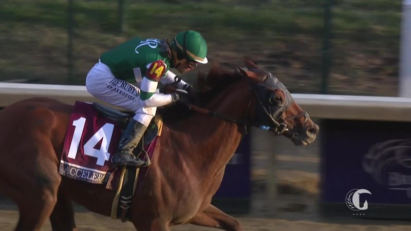 Horse Excellence: Breeders' Cup