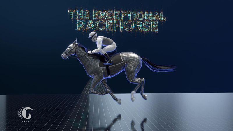 Horse Excellence :  Sports Explainer