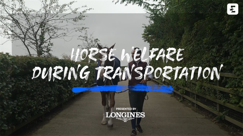 Longines, detrás de las cámaras: El bienestar del caballo en su transporte